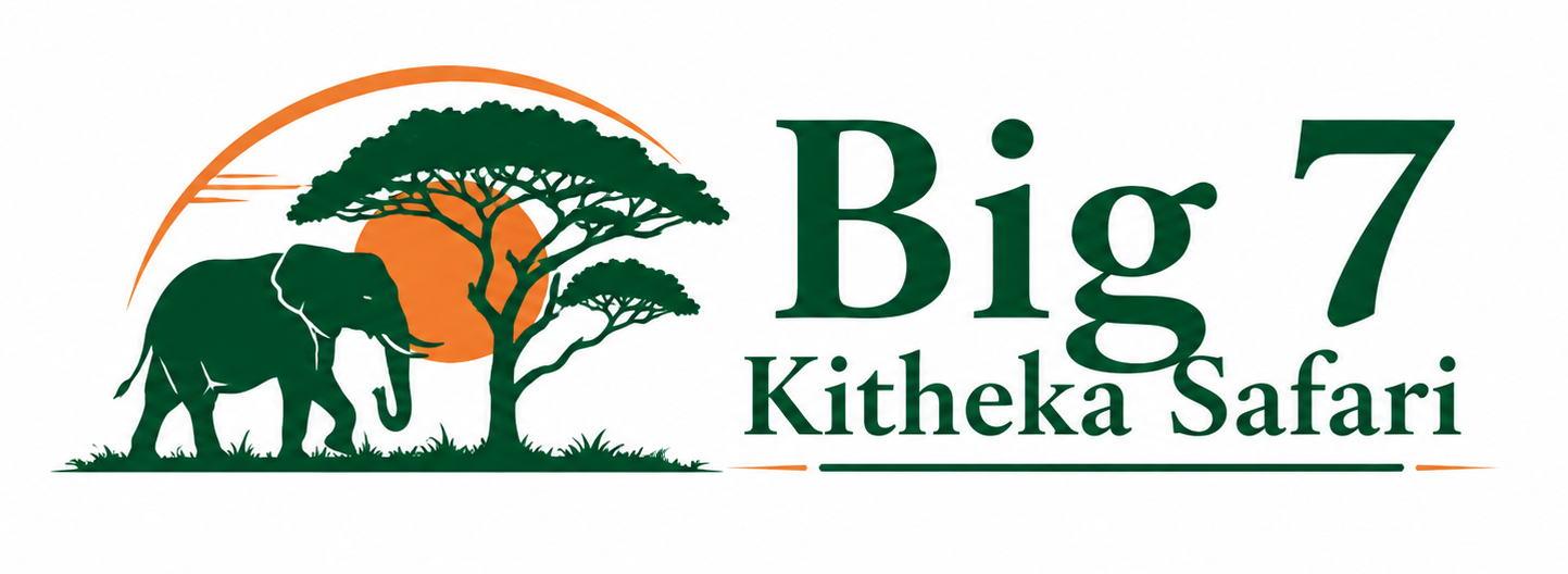 Big 7 Kitheka Safari