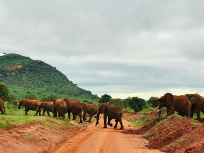 2 Days Tsavo East and West Safari: Mombasa Departure Wildlife Adventure