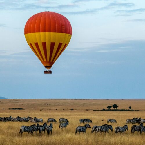 7 Days Kenya Safari Tour Tsavo East, Amboseli, Lake Nakuru & Masai Mara