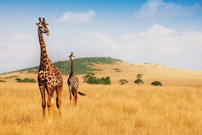 4-Day Nairobi, Lake Nakuru & Maasai Mara Safari – Big Five Kenya Adventure